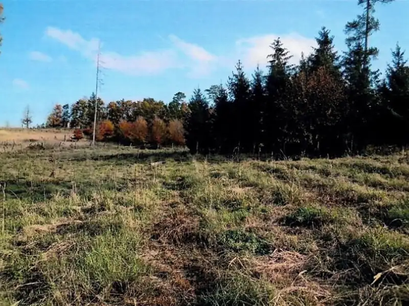 Prodej lesa 8722 m², Vladislav – náhled fotky 1
