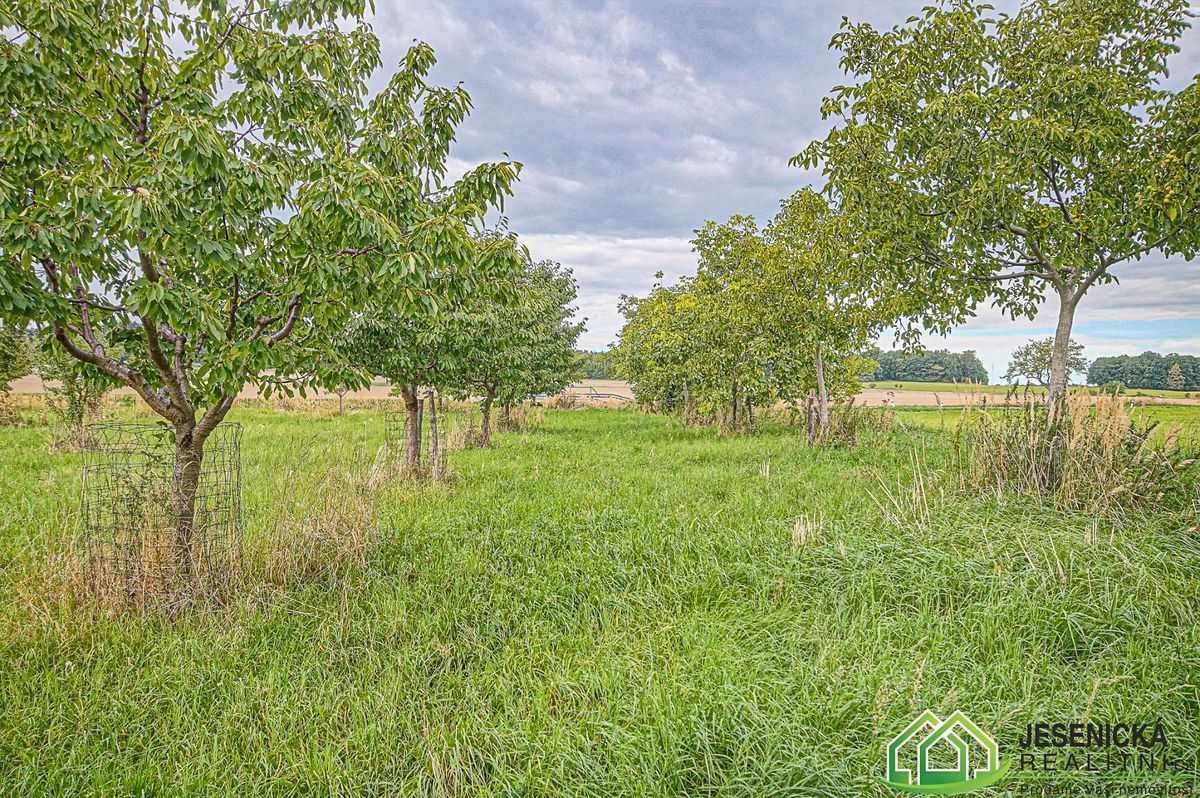 Prodej pole 16809 m² – fotografie 2
