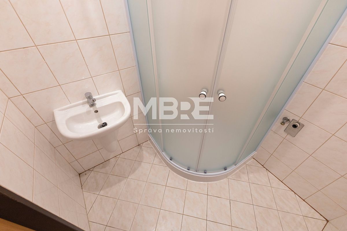 Pronájem bytu 2+1 55 m² – fotografie 4