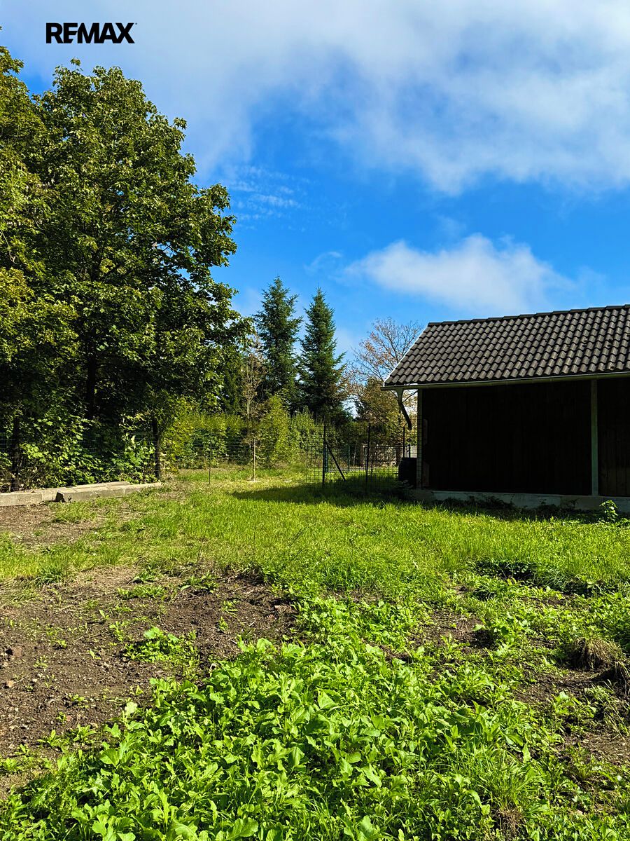 Pronájem zahrady 750 m² – fotografie 4