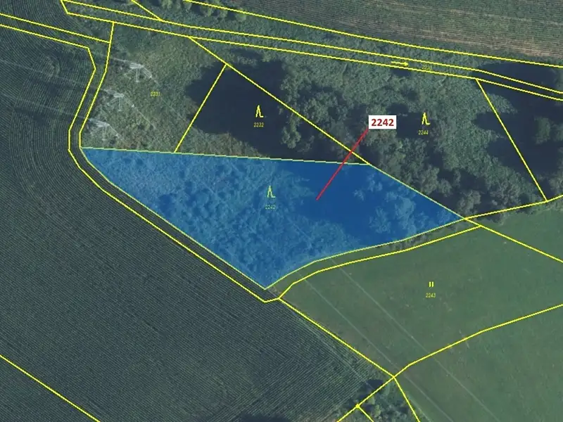 Dražba lesa 3972 m², Trpík – náhled fotky 2