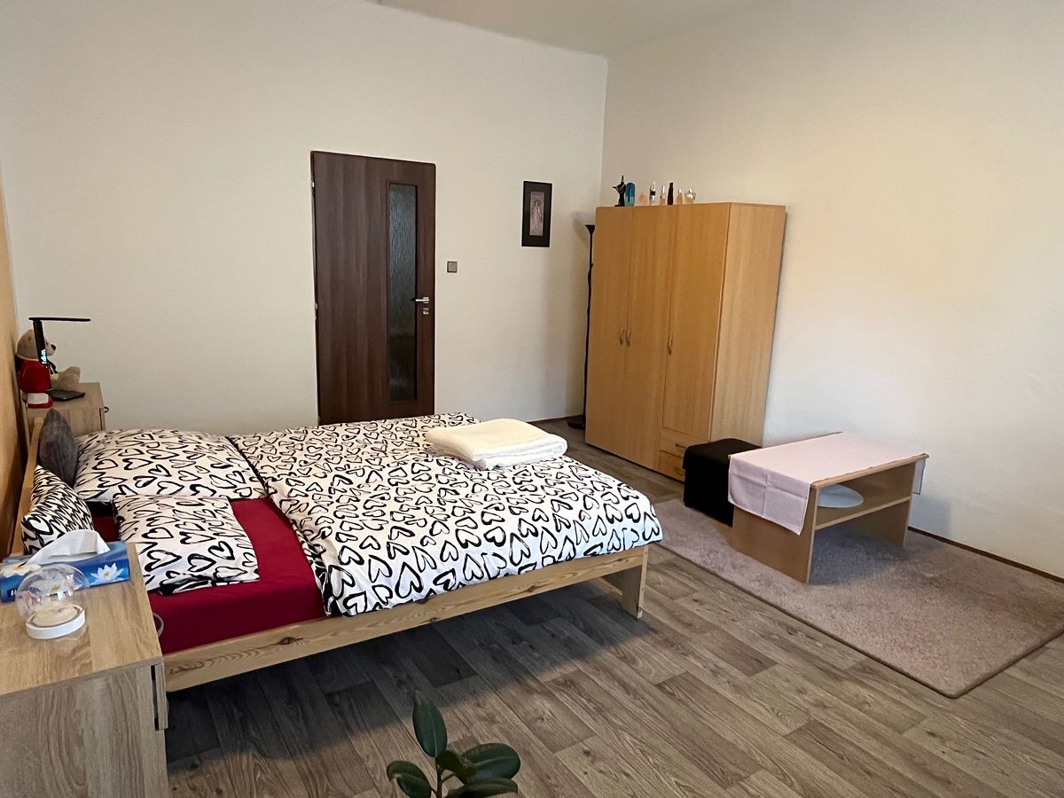 Pronájem bytu 1+1 35 m² – fotografie 5