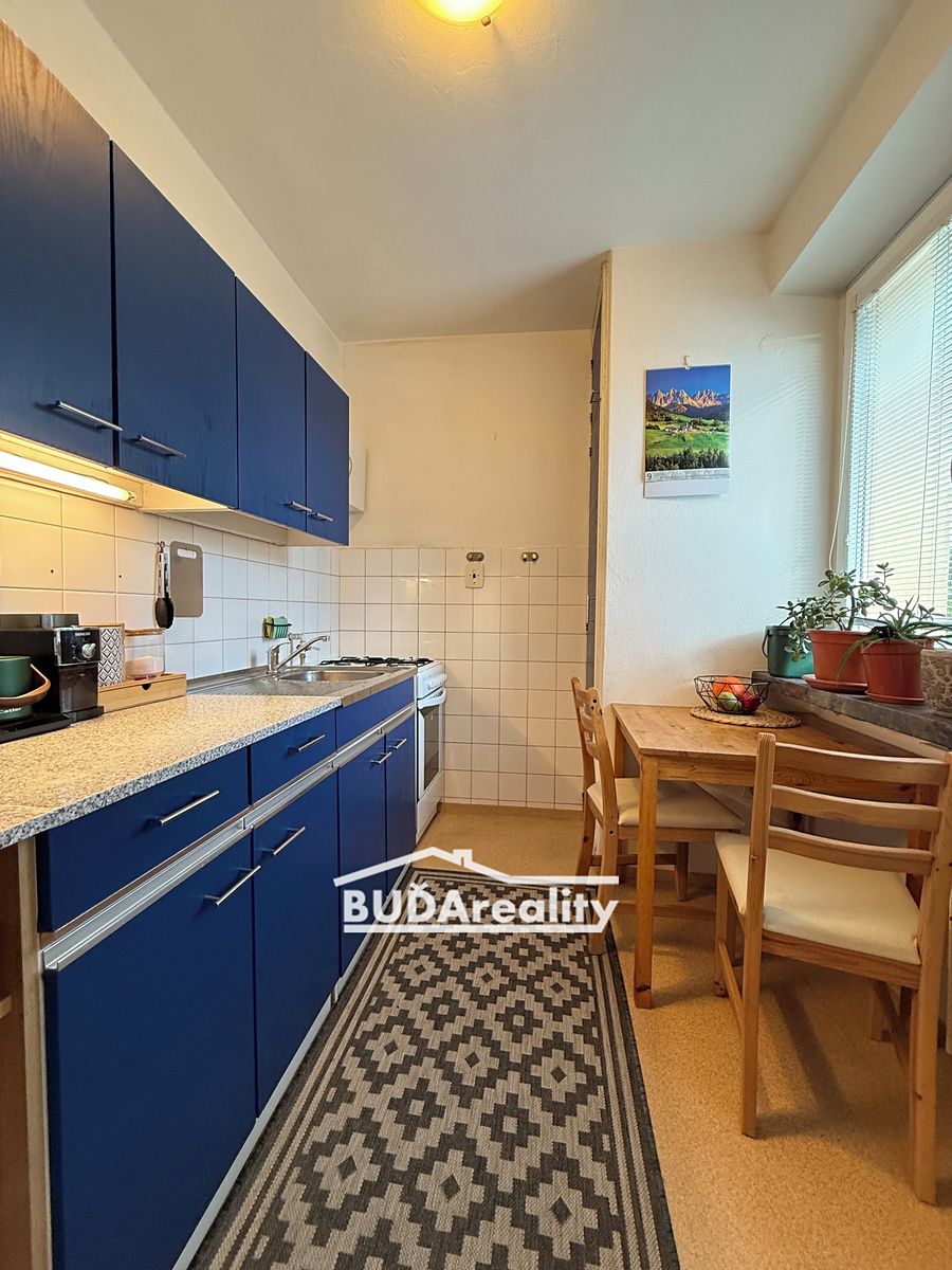 Pronájem bytu 1+1 43 m² – fotografie 3