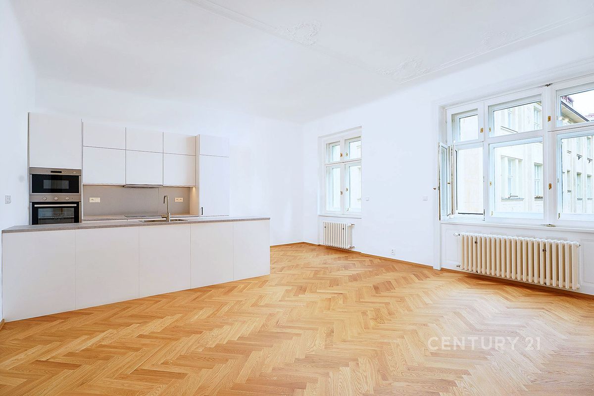 Pronájem bytu 2+kk 90 m² – fotografie 5
