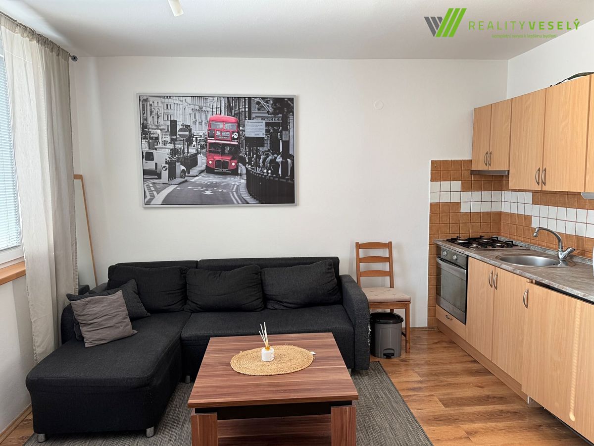 Pronájem bytu 1+1 33 m²