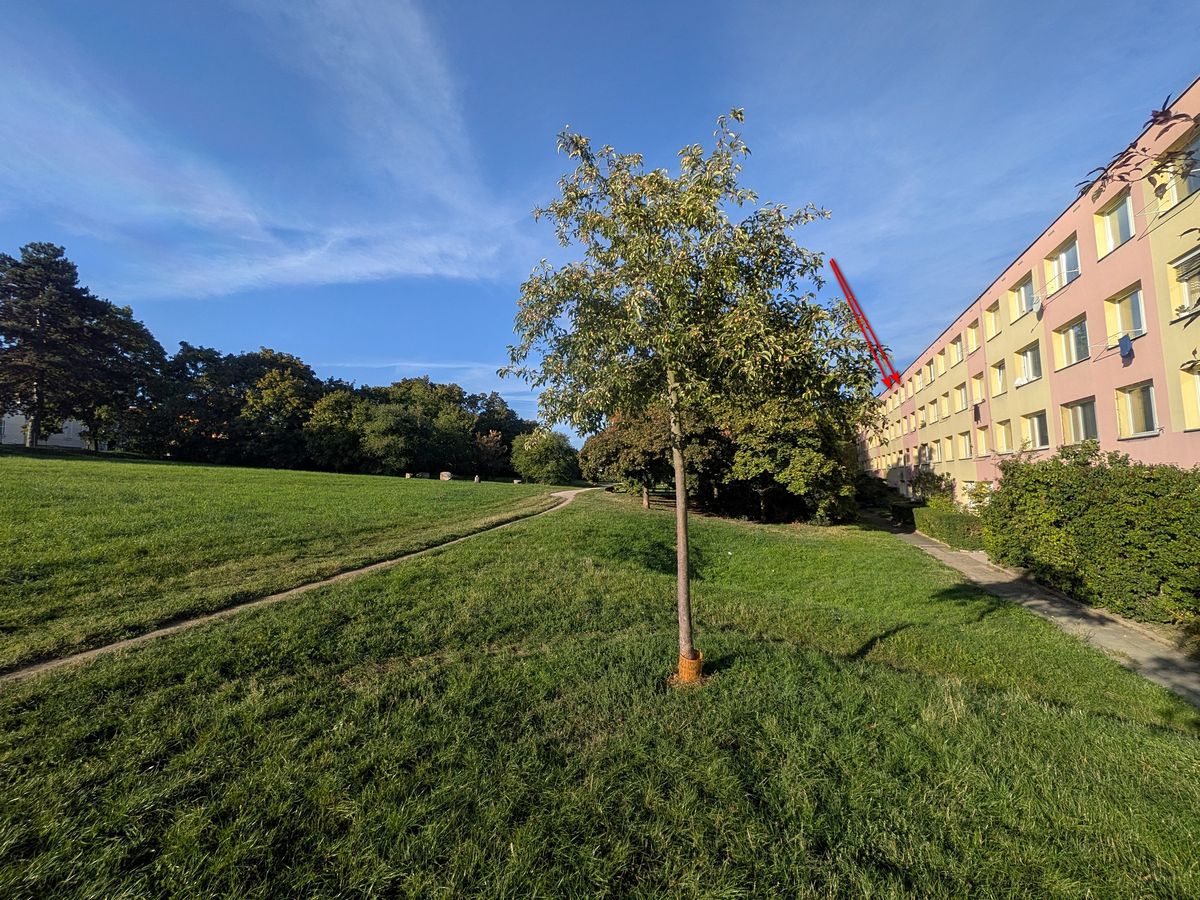Prodej bytu 4+kk 68 m² – fotografie 3