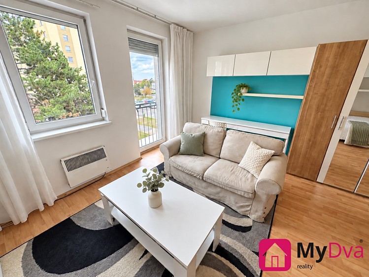 Pronájem bytu 1+1, 40 m² (3 z 12)