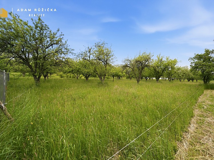 Prodej domu, 480 m² (41 z 42)