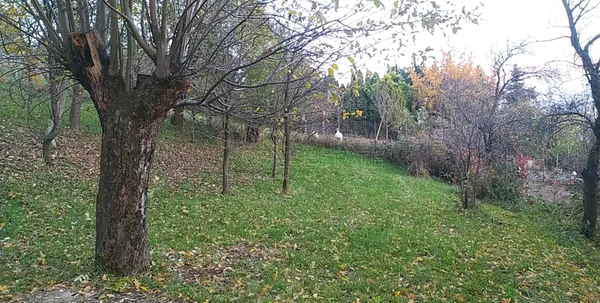 Fotka 13 z 15