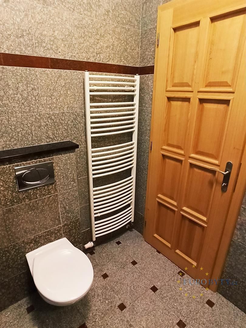 Pronájem bytu 1+kk 35 m² – fotografie 5