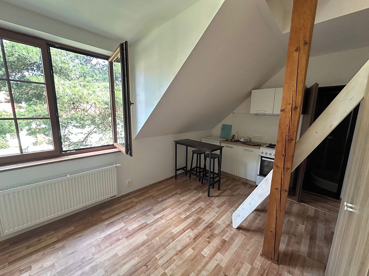 Pronájem bytu 2+kk 30 m²