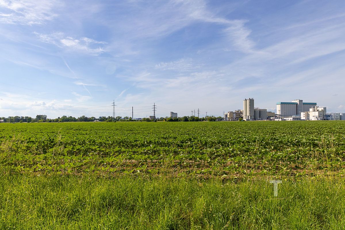 Prodej pozemku 147116 m² – fotografie 3