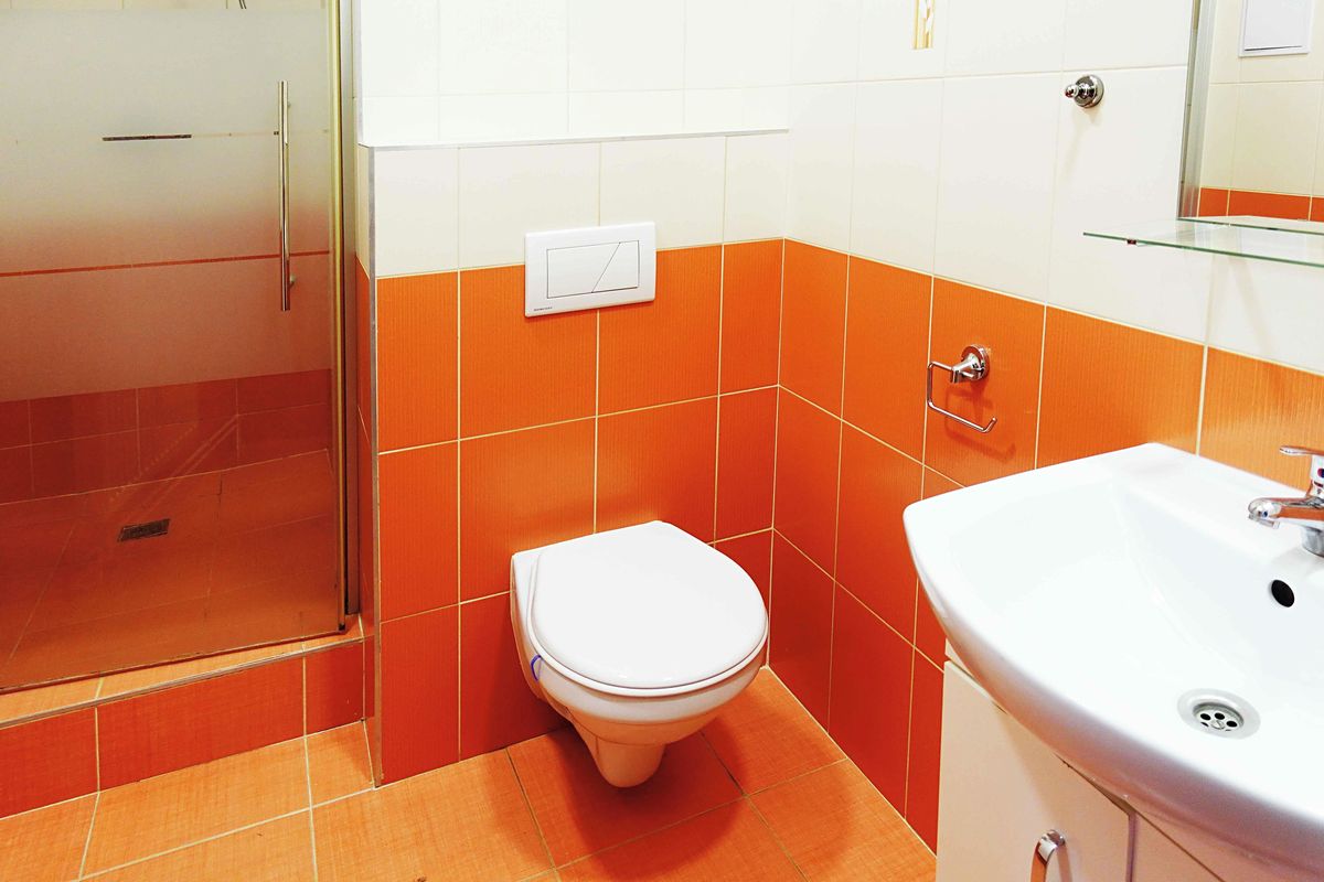 Pronájem bytu 2+1 54 m² – fotografie 3