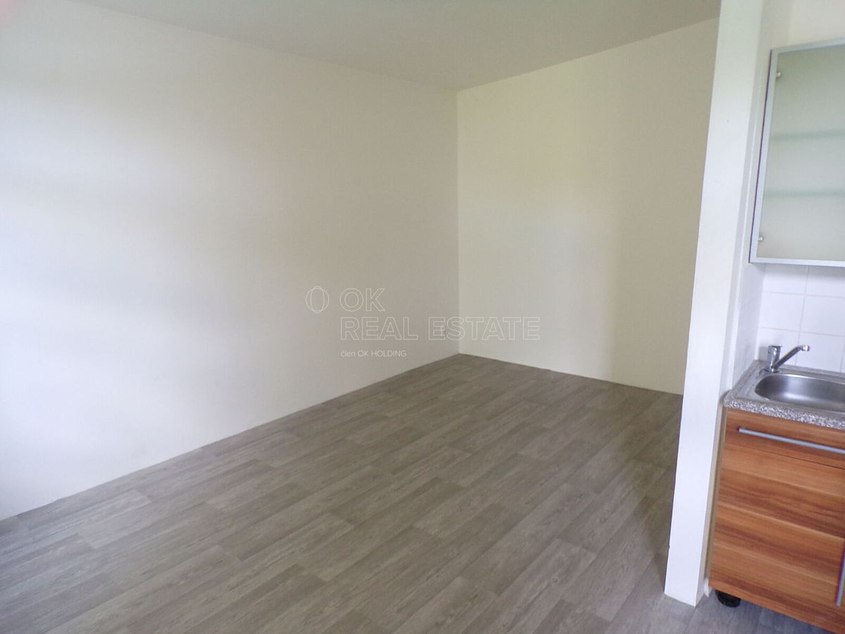 Pronájem bytu 1+kk 30 m² – fotografie 2