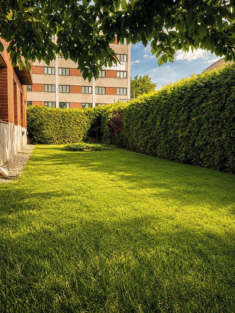 Prodej bytu 4+1 123 m² – fotografie 5