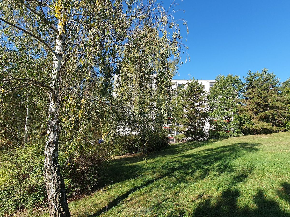 Prodej bytu 3+1 70 m² – fotografie 3