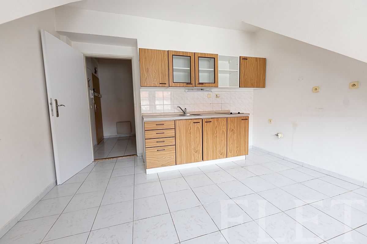 Pronájem bytu 1+1 42 m²