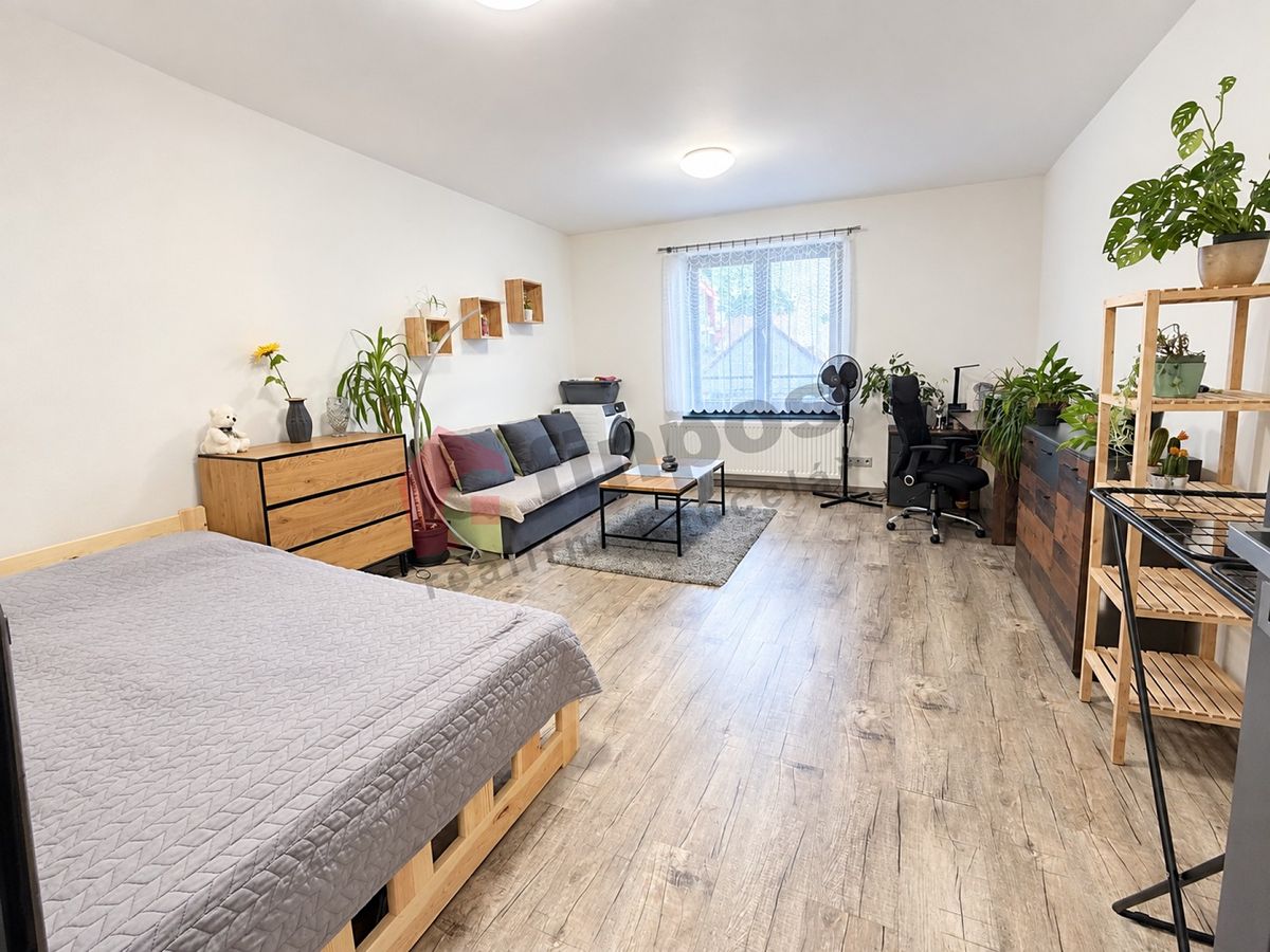 Pronájem bytu 1+1 36 m²