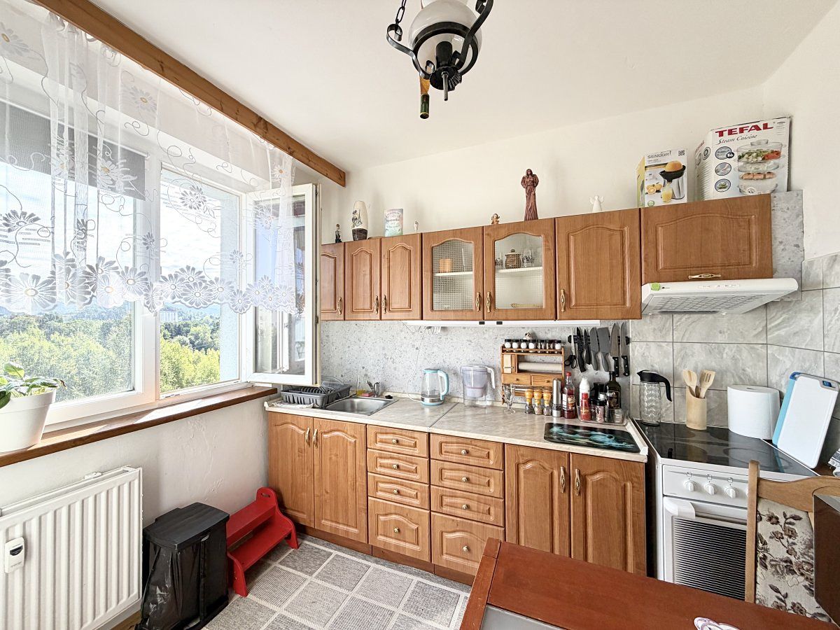 Pronájem bytu 1+1 40 m²