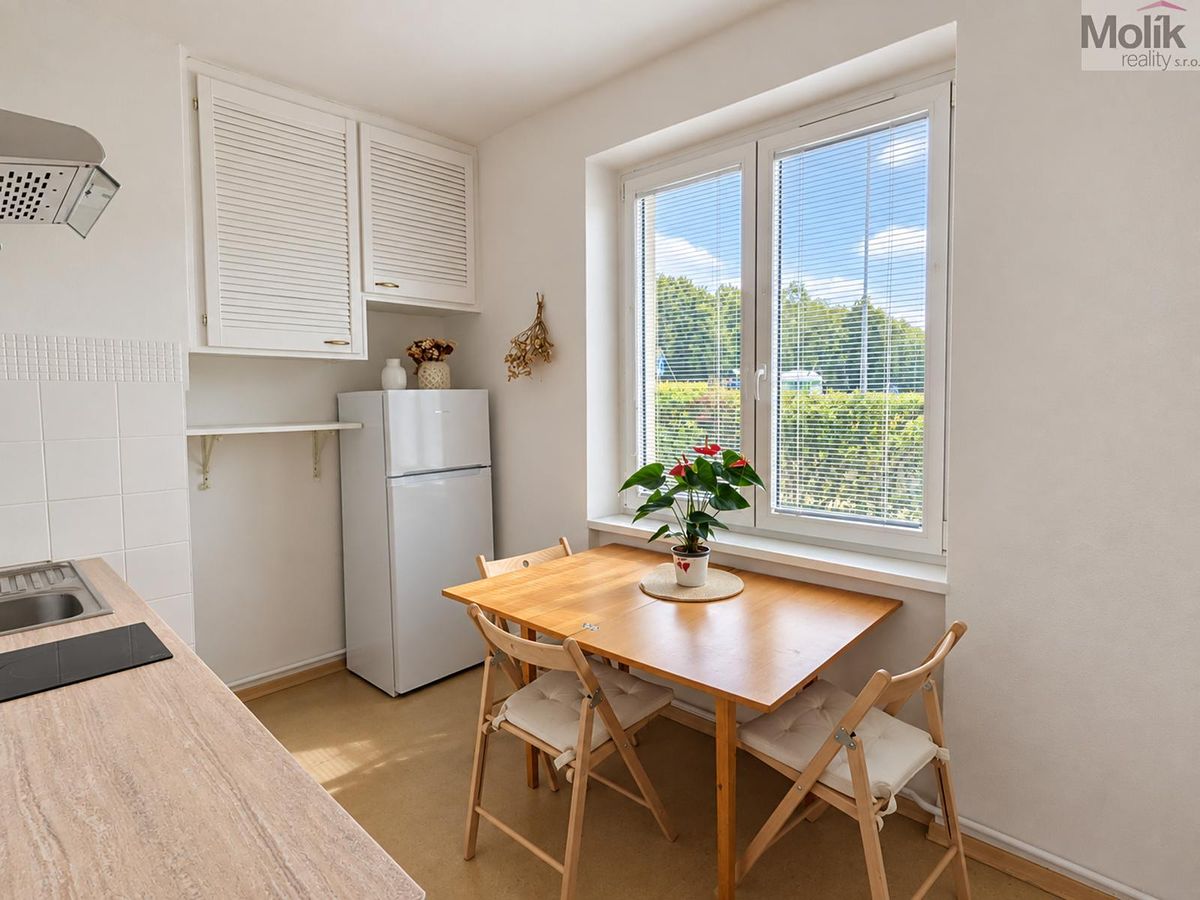 Pronájem bytu 2+1 49 m² – fotografie 5