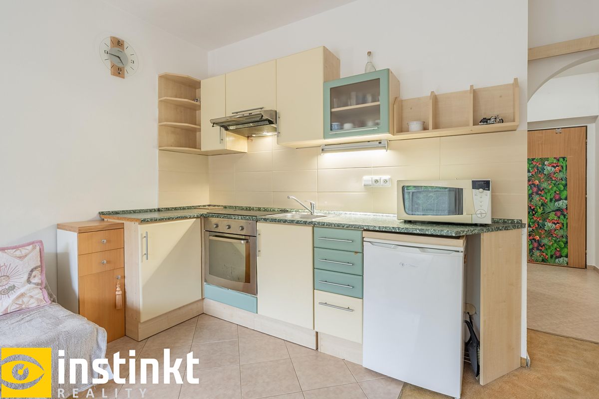 Pronájem bytu 1+kk 30 m² – fotografie 4