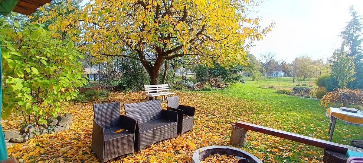 Pronájem rodinného domu 85 m², pozemek 3200 m² – fotografie 5