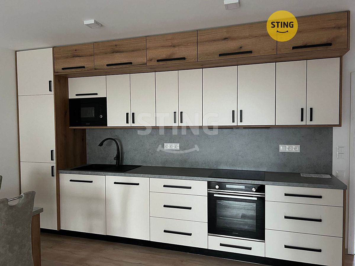 Pronájem bytu 1+kk 60 m²