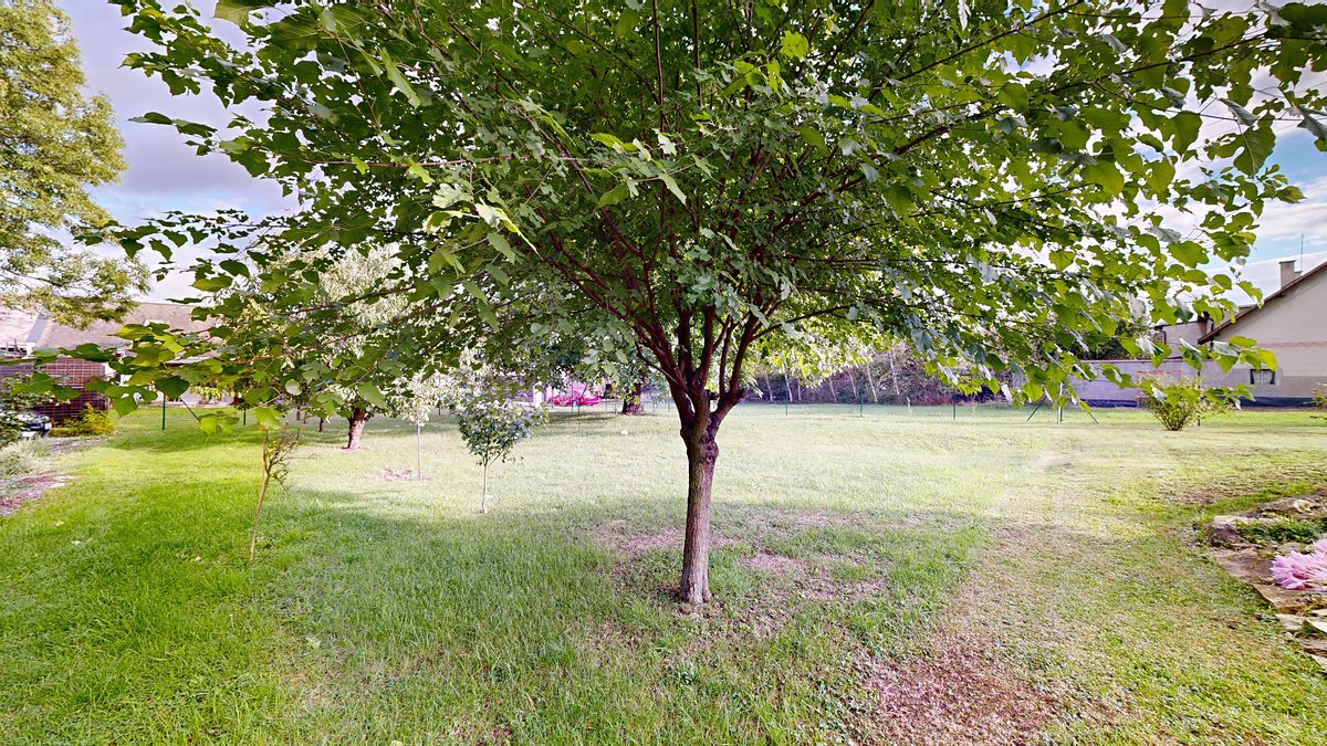 Prodej rodinného domu 159 m², pozemek 370 m² – fotografie 5