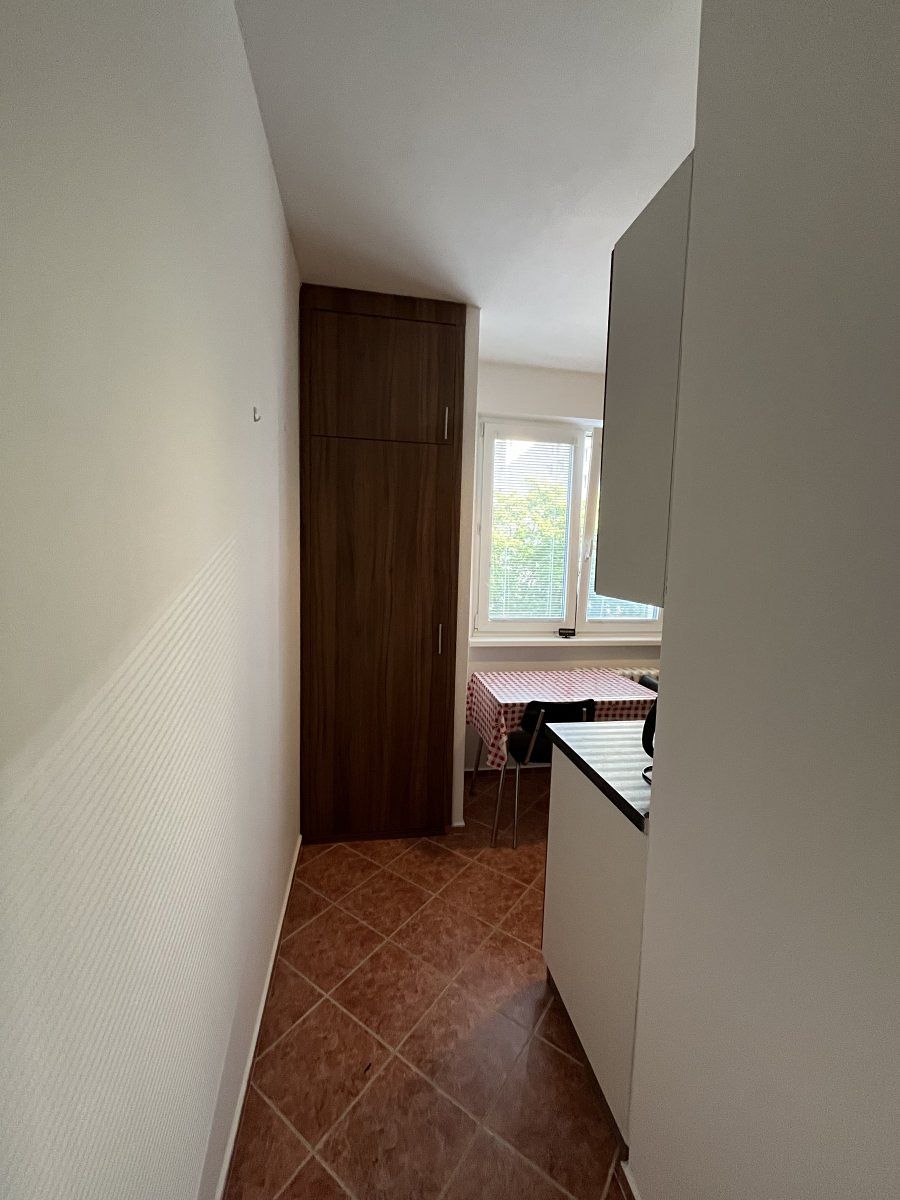 Pronájem bytu 1+1 40 m² – fotografie 4