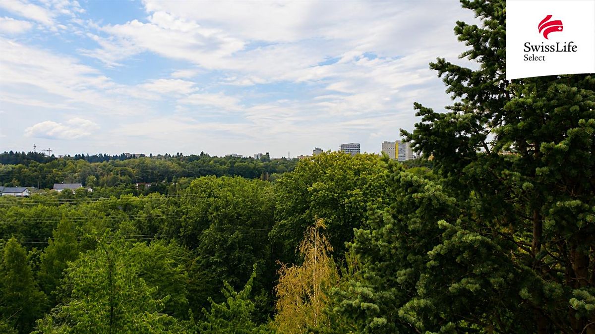Prodej stavebního pozemku 1165 m² – fotografie 3