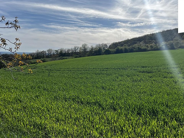 Grundstück zum Kauf, 4.151 m² (5 von 5)