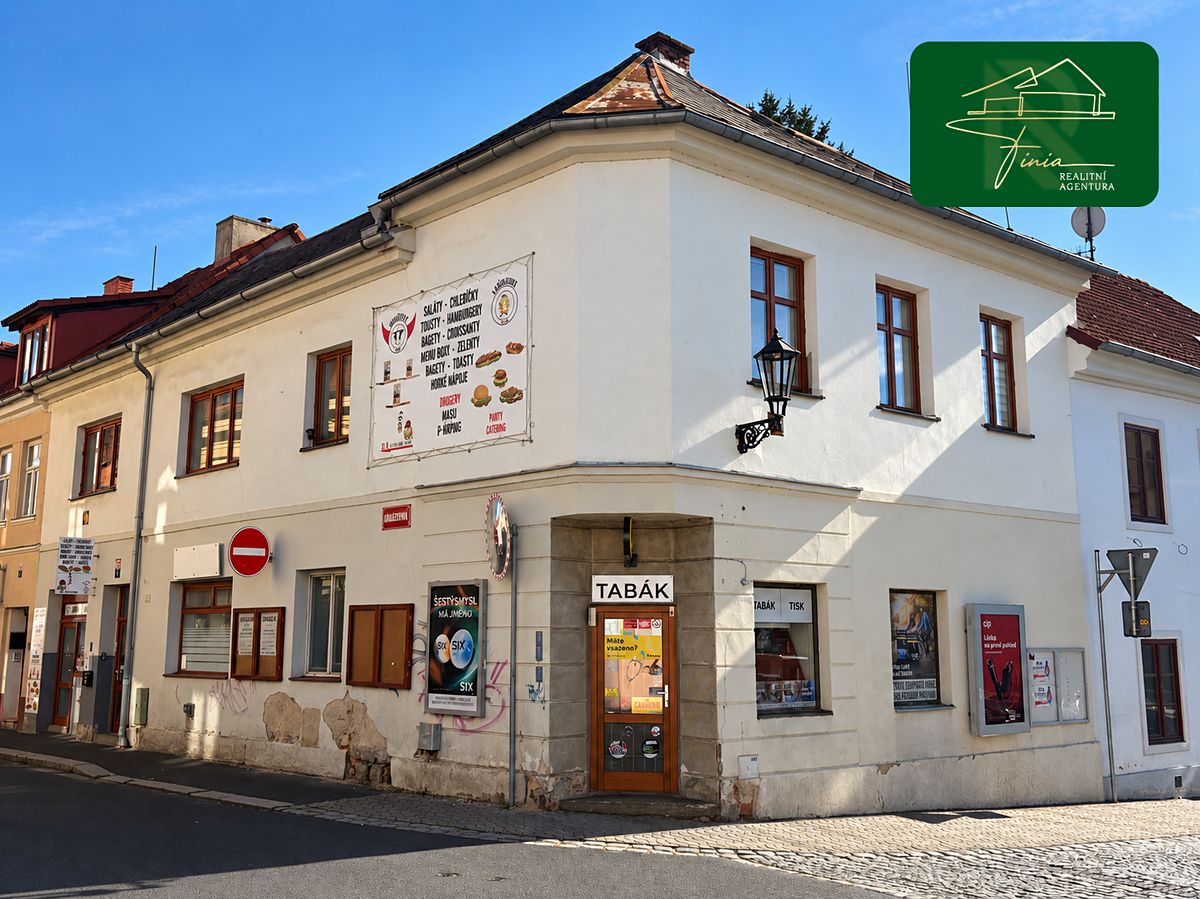 Prodej komerční nemovitosti 260 m²