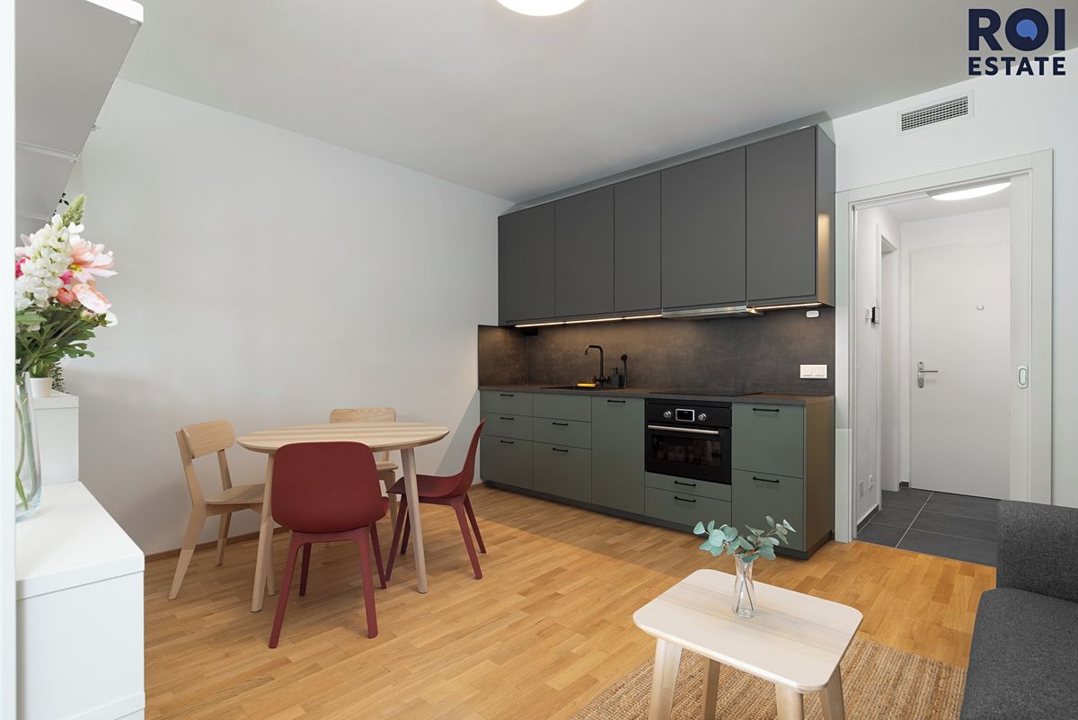 Pronájem bytu 1+kk 41 m² – fotografie 2