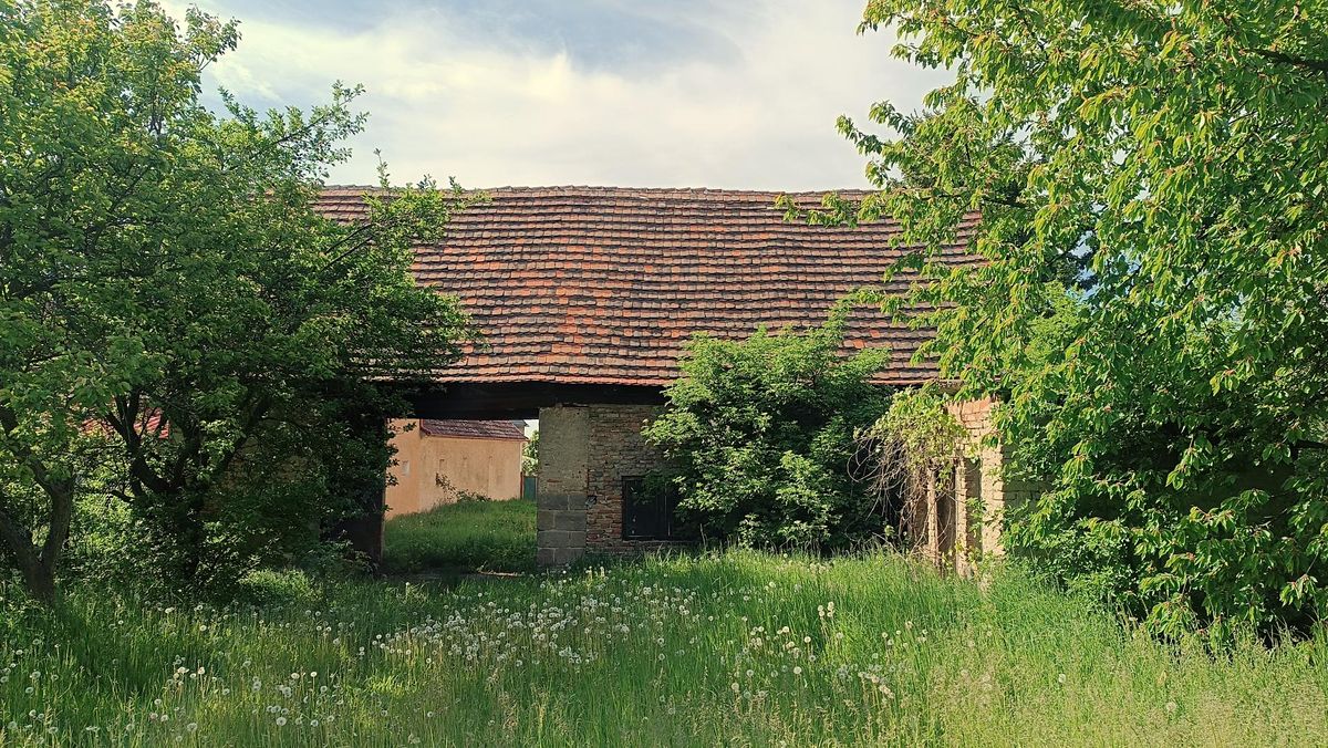 Prodej rodinného domu 100 m², pozemek 453 m² – fotografie 5