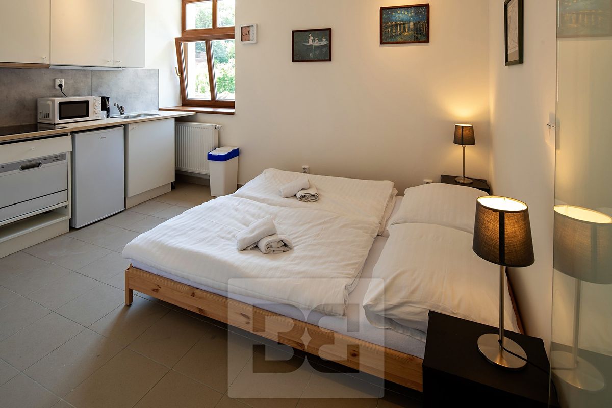 Pronájem bytu 1+kk 17 m²