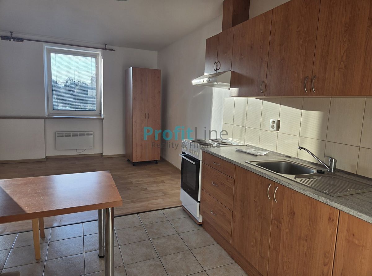 Pronájem bytu 1+kk 41 m²