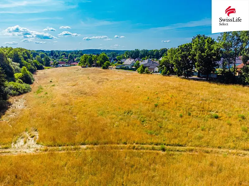 Prodej pozemku 11001 m², Rodvínov – náhled fotky 2