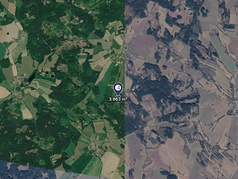 Prodej louky 3963 m², Nový Rychnov – náhled fotky 2