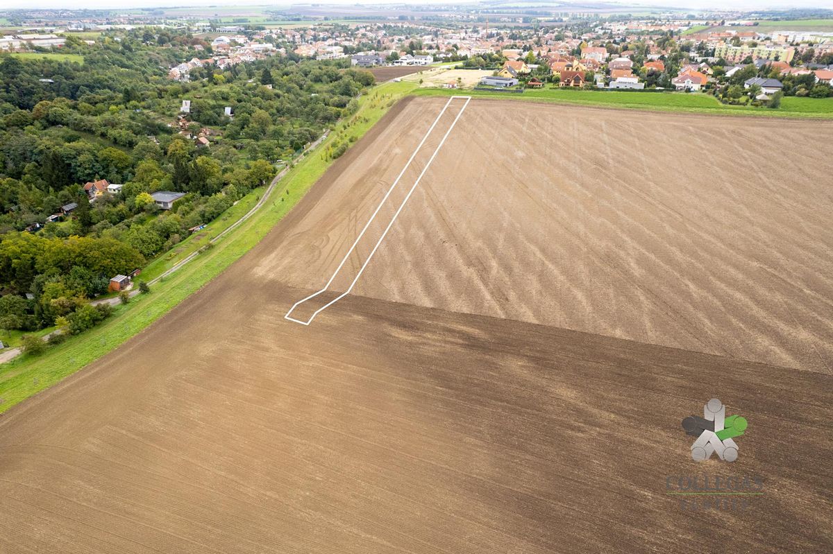 Prodej pole 1754 m² – fotografie 2