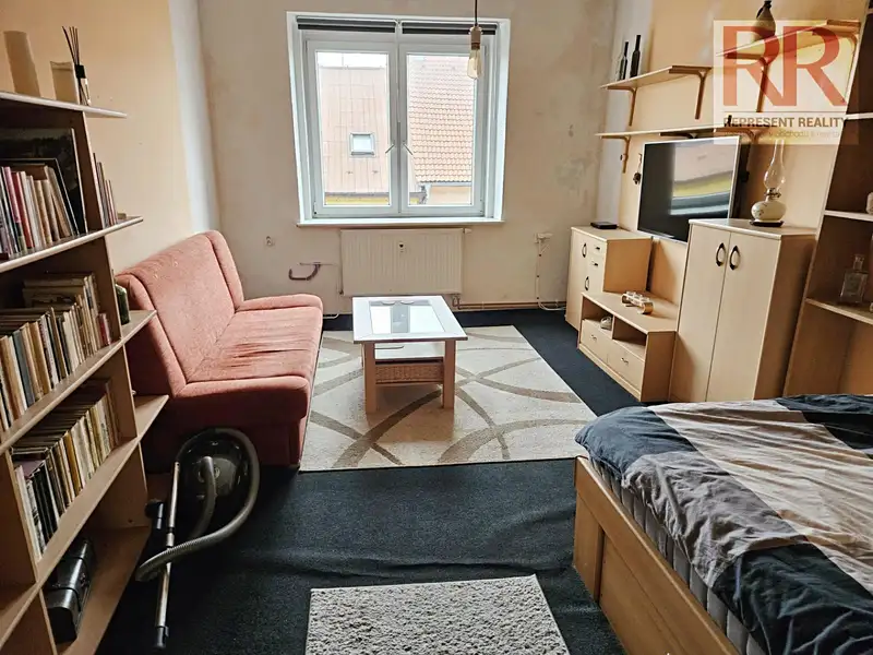 Pronájem bytu 1+1 34 m², Plzeň – náhled fotky 2