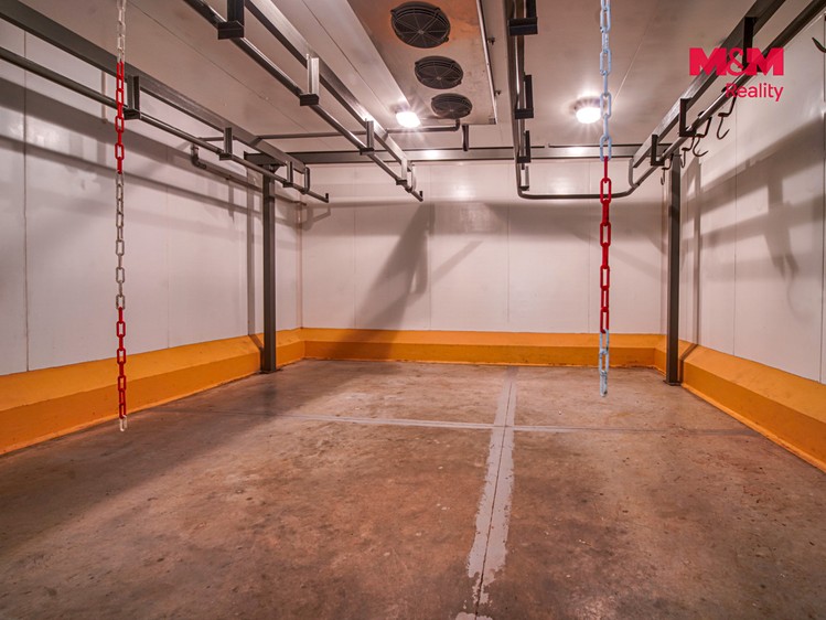 Prodej komerčního prostoru, 377 m² (8 z 30)
