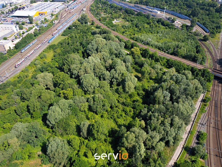 Ділянка на продаж, 8 257 м² (6 з 8)