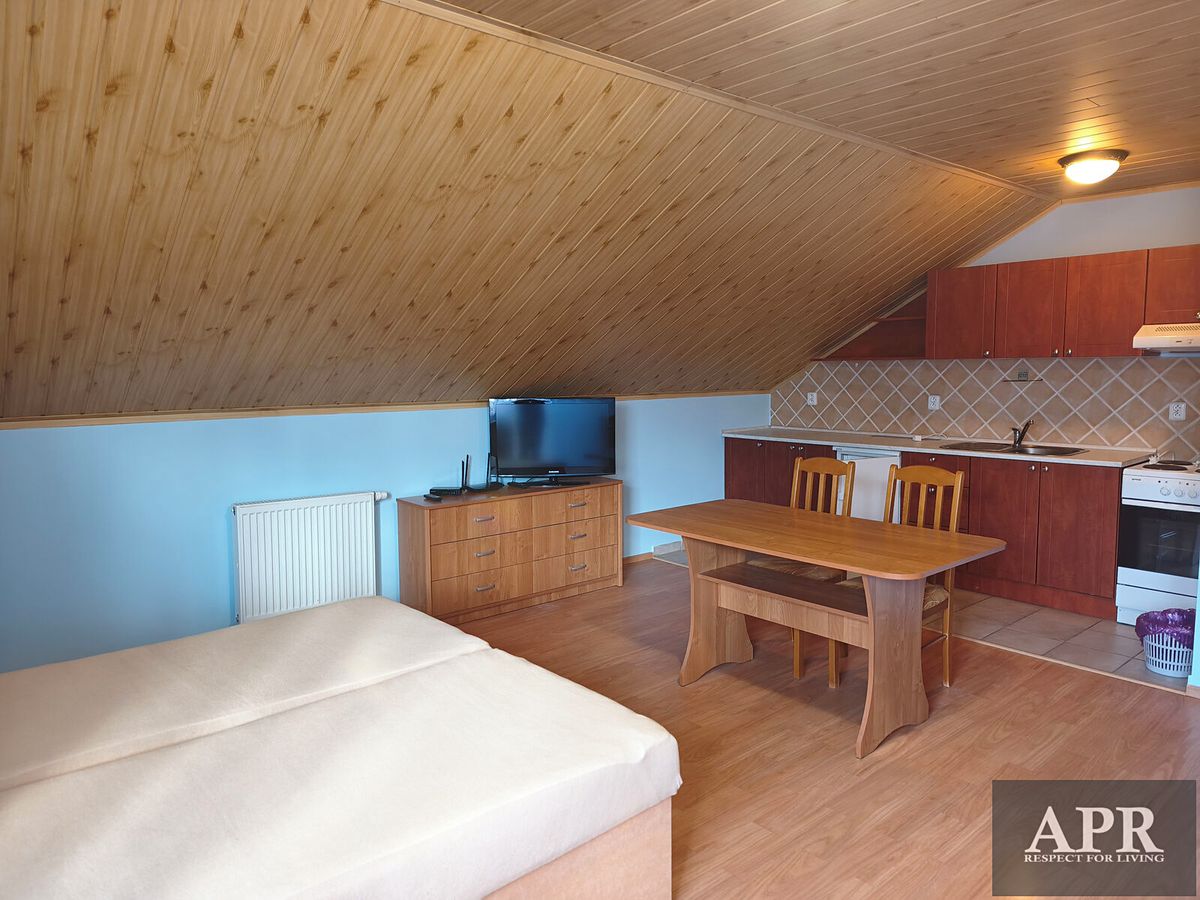 Pronájem bytu 1+kk 40 m² – fotografie 5