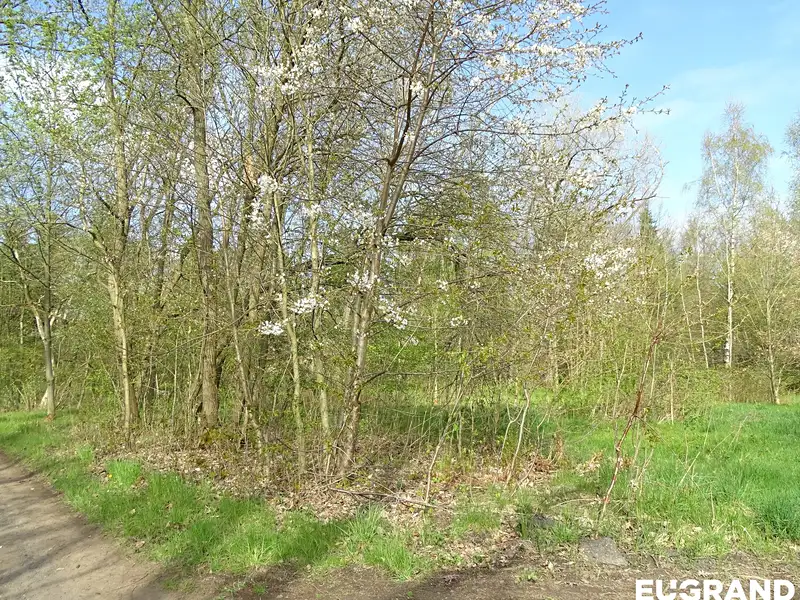 Prodej pozemku 740 m², Varnsdorf – náhled fotky 2