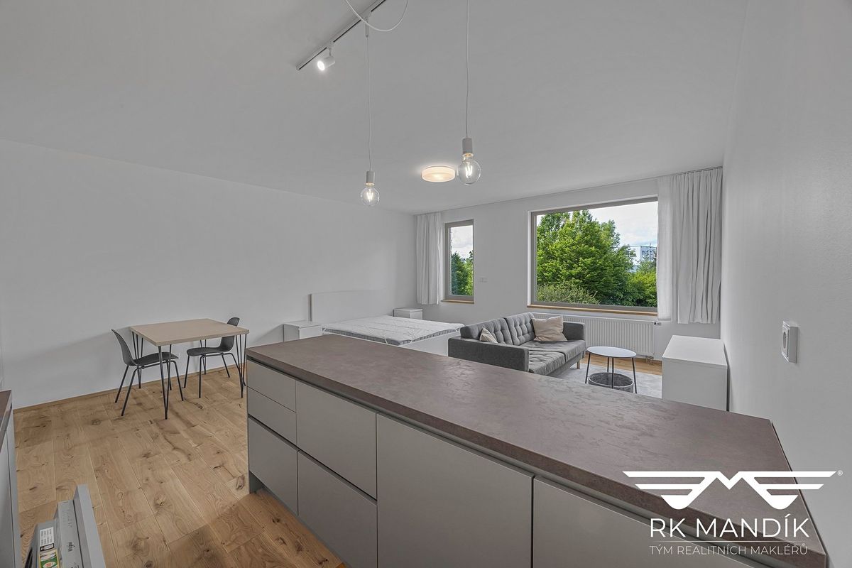 Pronájem bytu 1+kk 45 m² – fotografie 5
