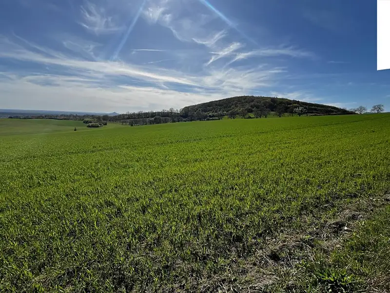 Prodej pole 38675 m², Polepy – náhled fotky 1