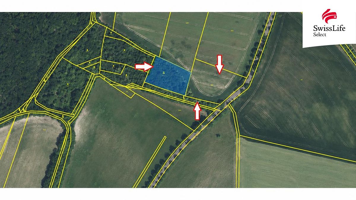 Prodej pole 4151 m² – fotografie 2