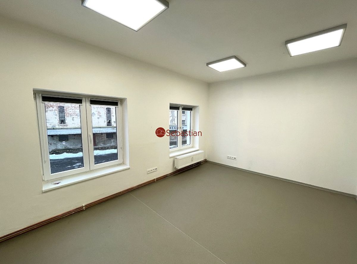 Pronájem obchodního prostoru 245 m² – fotografie 3