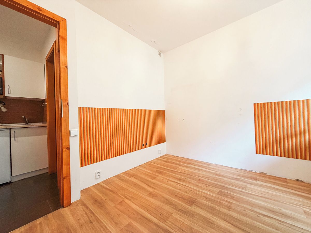 Pronájem bytu pokoje 12 m²