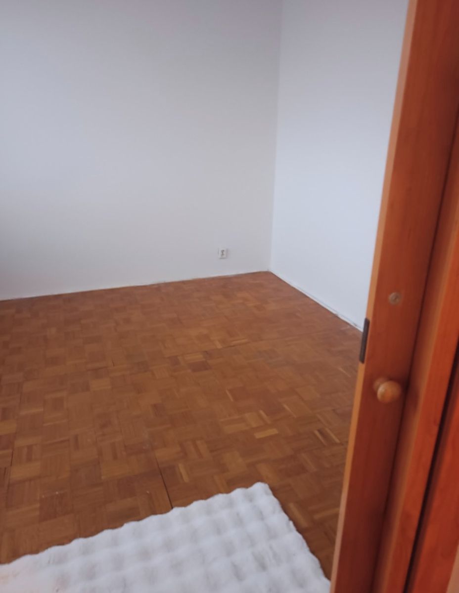 Pronájem bytu 1+1 33 m² – fotografie 4